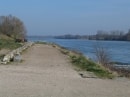 bords de Loire à l'Est de Meung